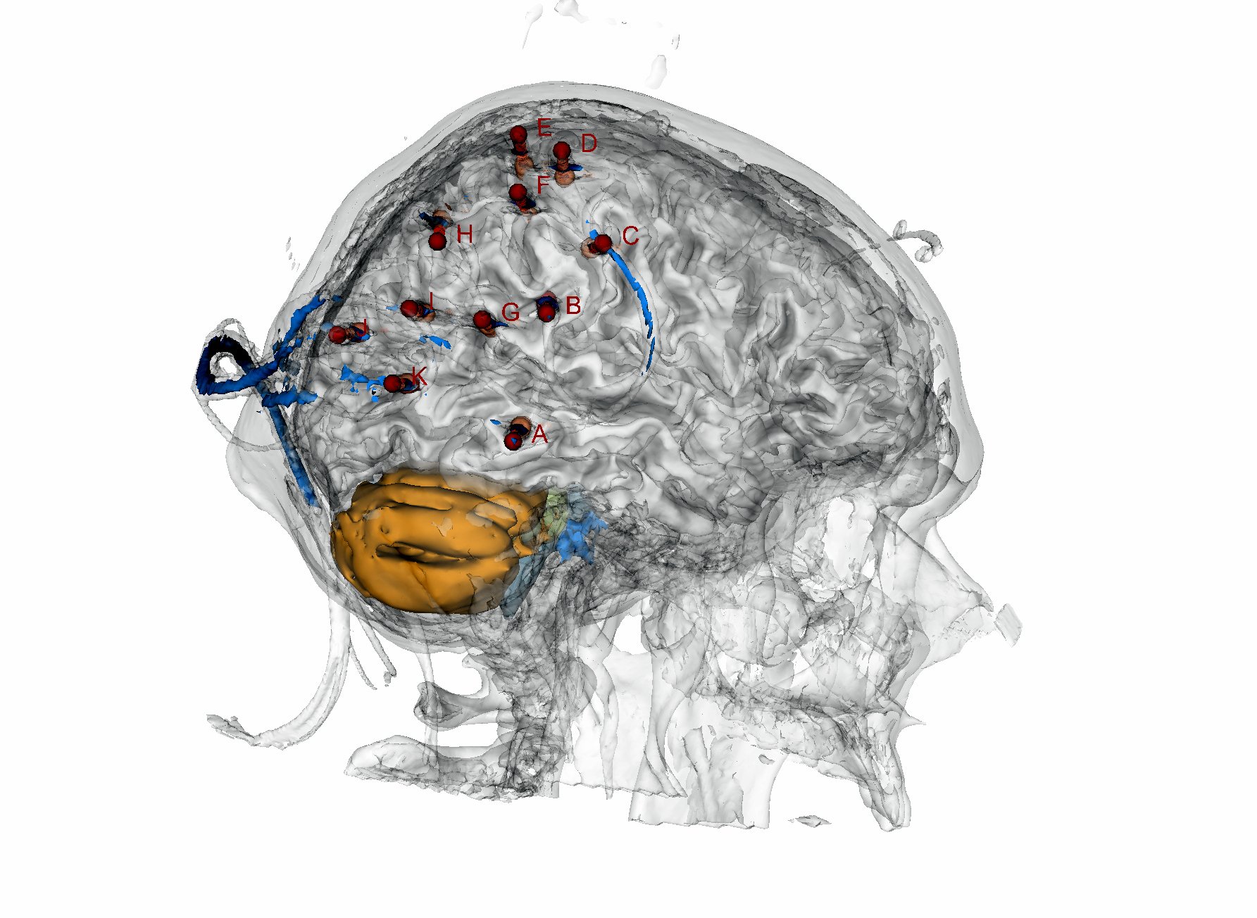 Center for Brain & Cognition (UPF)