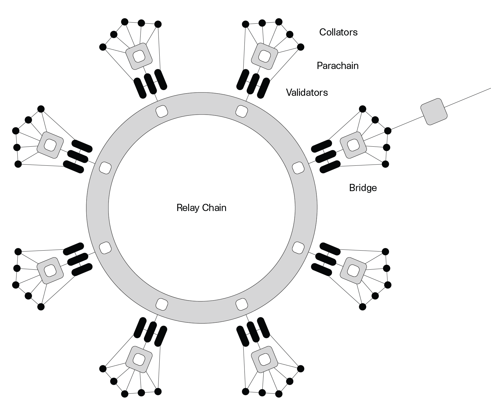 Polkadot Schema