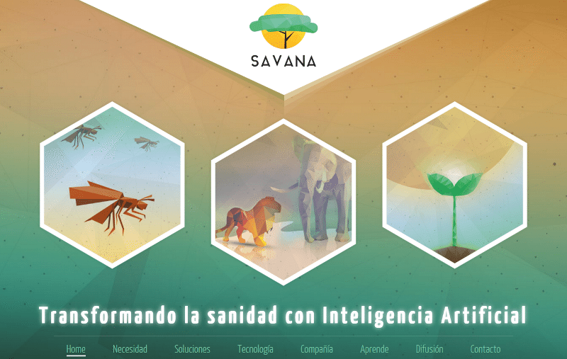 Savana